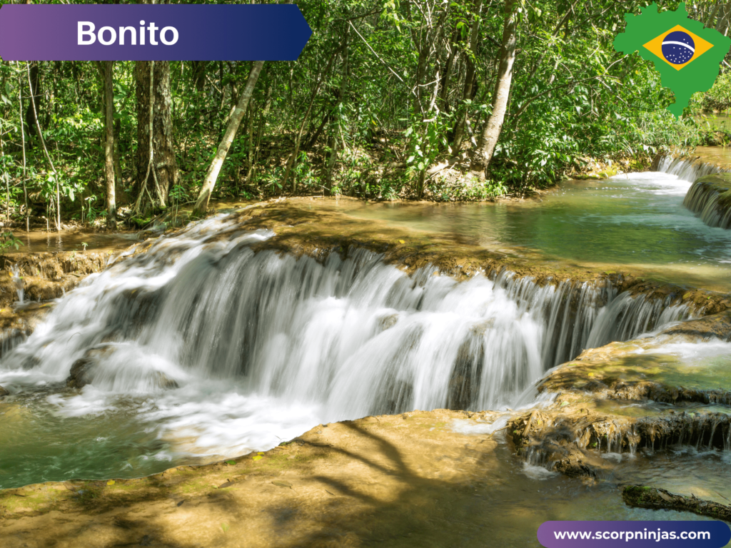 Bonito - Clear Freshwater Wonderland in the Pantanal in Brazil