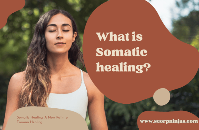 What is Somatic Healing